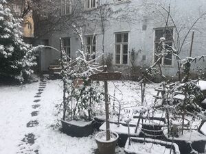 Garten im Winter